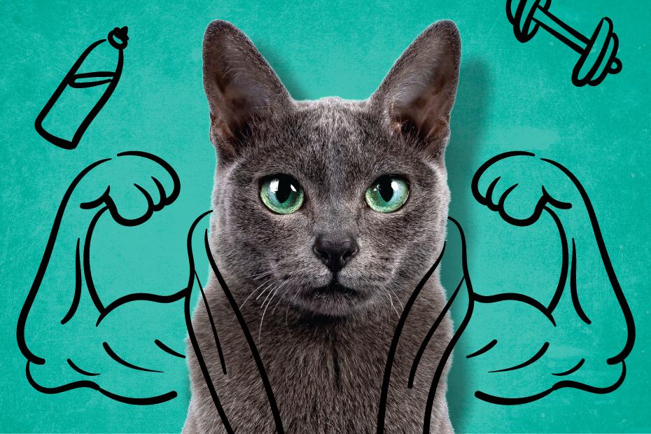 Felis’te avantajlı başvuru için son bir hafta